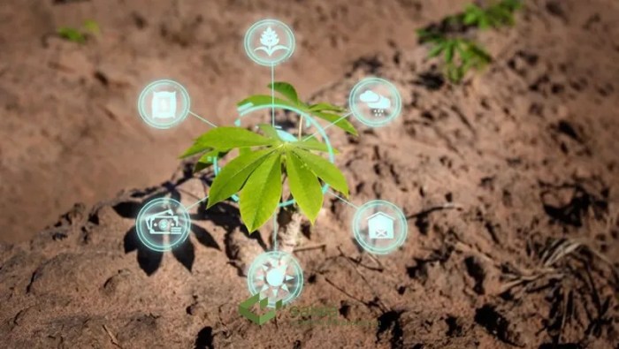 Blog: Importance of Cloud computing in Agriculture sector | Tudip The Impact of Cloud Computing on Agriculture